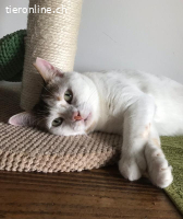 Mutter und Tochter bleiben zusammen