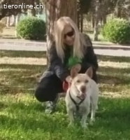 Naiara, w./kastr., geb. 11.12.2020, Größe: 40 cm/12 kg