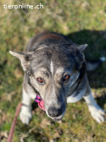 Neele möchte ihr Herz verschenken