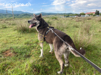 Neele möchte ihr Herz verschenken