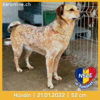 Nele möchte die Welt langsam-vorsichtig Entdecken