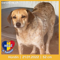 Nele möchte die Welt langsam-vorsichtig Entdecken