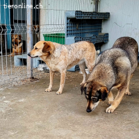 Nele möchte die Welt langsam-vorsichtig Entdecken
