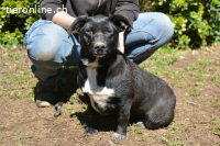 Nettie - einmal Herz öffnen, bitte