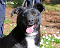 Nettie - was ne Wundertüte!