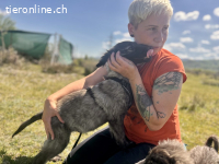 Neugieriger kleiner Entdecker Ticco sucht seine Menschen