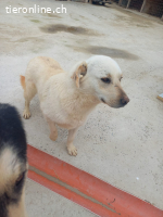 Nevada möchte ihr Leben beginnen