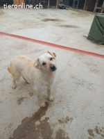 Nevada möchte ihr Leben beginnen