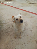 Nevada möchte ihr Leben beginnen