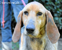 Neville - Abstellgleis - Nein Danke!