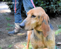 Neville - Abstellgleis - Nein Danke!