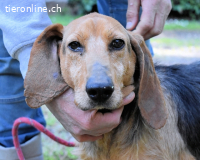 Neville - Abstellgleis - Nein Danke!