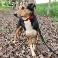 Nica eine sanfte gebrochene Seele