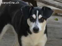 Nikita - Still, übersehen und dabei so besonders...