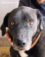 Norgen - Der überfällige Eintrag...