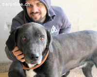 Norgen - Der überfällige Eintrag...