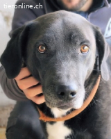 Norgen - Der überfällige Eintrag...