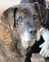 Notfall - Annius-Zuletzt ist jetzt...