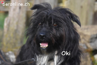 OKI