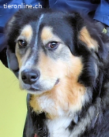 Oliverio - ohne Anklage hinter Gittern