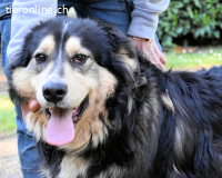 Oliverio - ohne Anklage hinter Gittern....