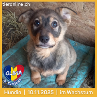 Olivia- ich suche Wärme, Geduld und viel Liebe