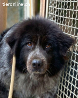 Olivia - mit sanften Schritten nach vorne