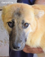 Olympia - "Und wenn sie nicht weg sind...