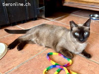 Oma Loreto sucht liebevolles Zuhause