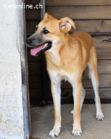 Osita - "und wenn sie nicht weg sind...