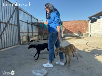 Osmo