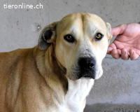 Oxira - Aus «wollen» wird «können»