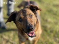 Paola, ein Jahrzehnt voller Liebe