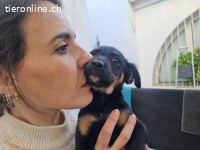 Patita – ein kleiner Schatz, der die Welt entdecken möchte