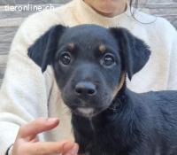 Patita – ein kleiner Schatz, der die Welt entdecken möchte