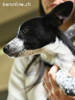 Paulina - was war, darf verblassen....