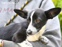 Paulina - was war, darf verblassen....