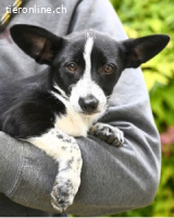 Paulina - was war, darf verblassen....