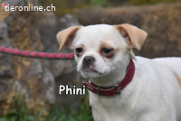 PHINI