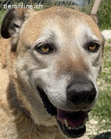 Plugh - Opa Plugh möchte die Welt - und Sie! kennenlernen