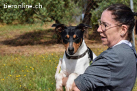 Pon - sucht sportliche Menschen!