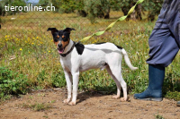 Pon - sucht sportliche Menschen!