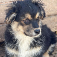 Potato ist auf der Suche nach seiner Für-Immer-Familie