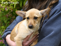 Prospero - was war, darf verblassen...