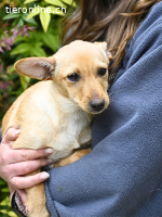 Prospero - was war, darf verblassen...