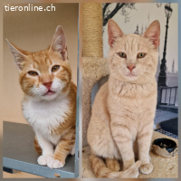 PUMPY & IGGY - EINE GANZ TOLLE FREUNDSCHAFT