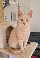 PUMPY & IGGY - EINE GANZ TOLLE FREUNDSCHAFT