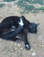 Punto – er hat Vertrauen gefasst – jetzt fehlt nur noch sein