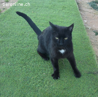 Punto – er hat Vertrauen gefasst – jetzt fehlt nur noch sein