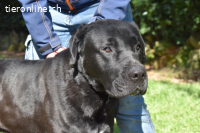 Quilver - Im Stillen reift, was Bestand haben will